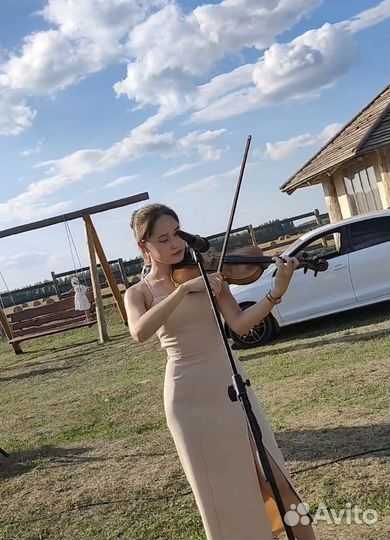Скрипачка на мероприятия