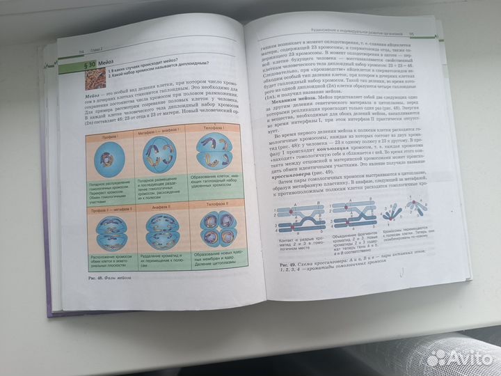 Учебник по биологии за 10-11 класс Каменский