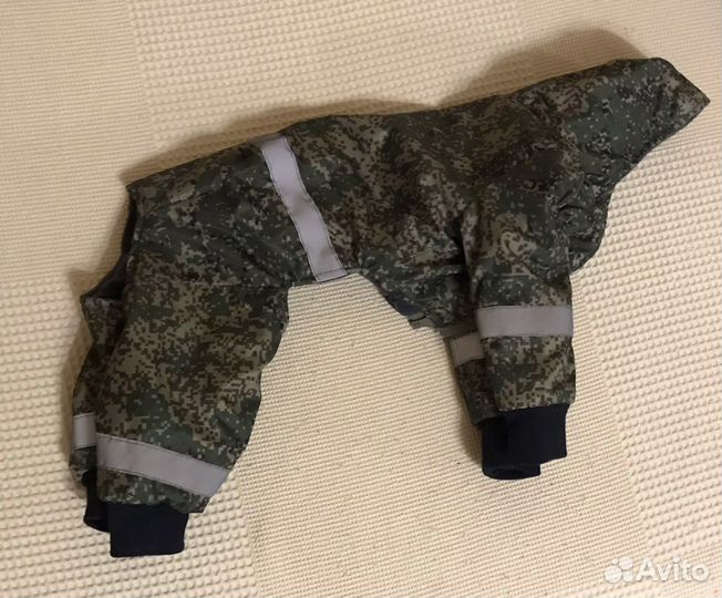 Одежда для собак