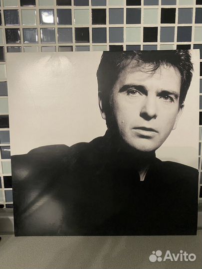 Виниловые пластинки petr gabriel