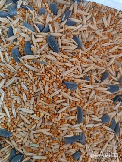 Корм для попугаев, канареек и декоративных птиц