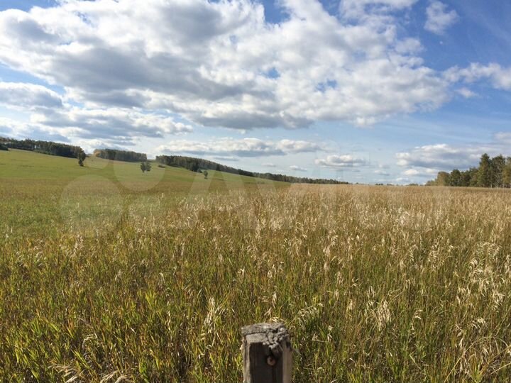 Участок 5,69 га (СНТ, ДНП)