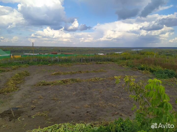 Картофель деревенский