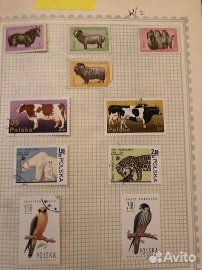 Почтовые марки СССР Фауна 1