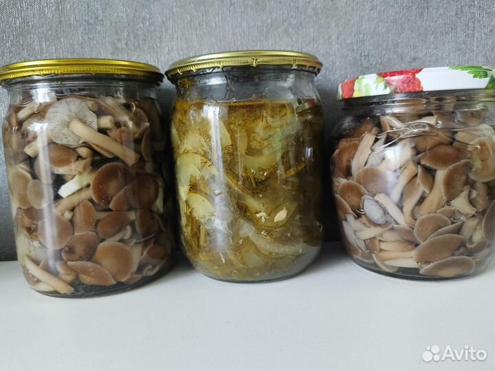 Грибы опята маринованные