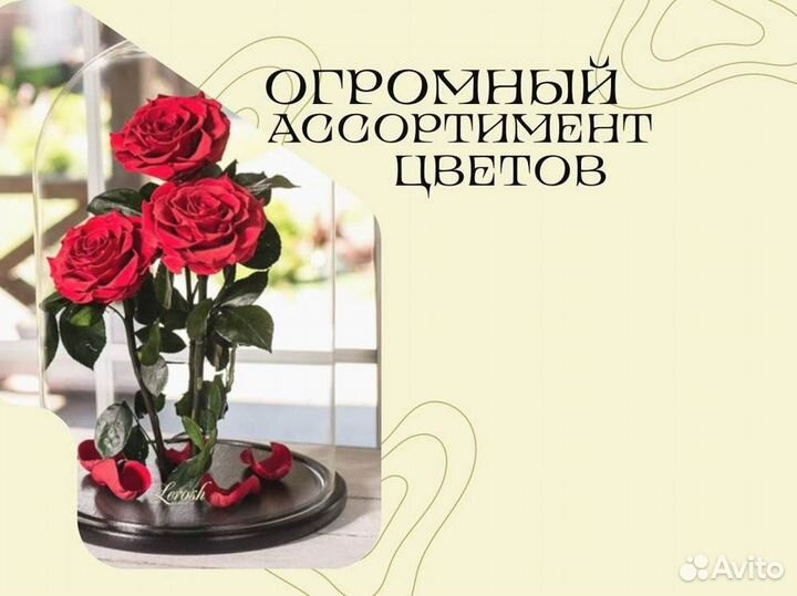 Роза в колбе. Неувядающая