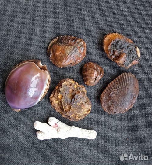 Минералы горные породы разное красивое