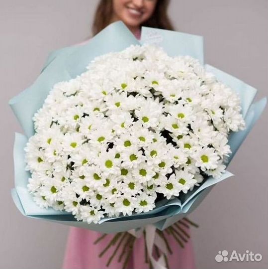 Хризантема