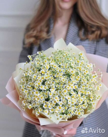 Ромашки Пионы Розы Доставка