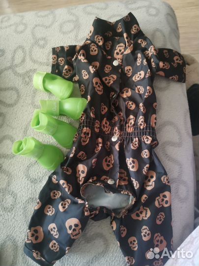 Дождевик и обувь для собаки