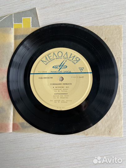 Виниловая пластинка