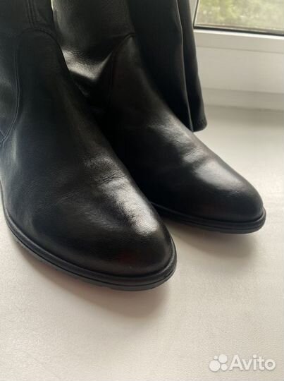 Сапоги ботфорты stuart weitzman оригинал