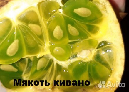 Семена овощей лекарственных плодовых растений