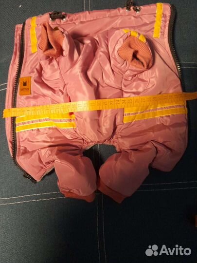 Одежда для собак