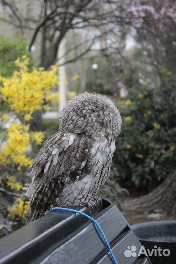 Фотоссессия