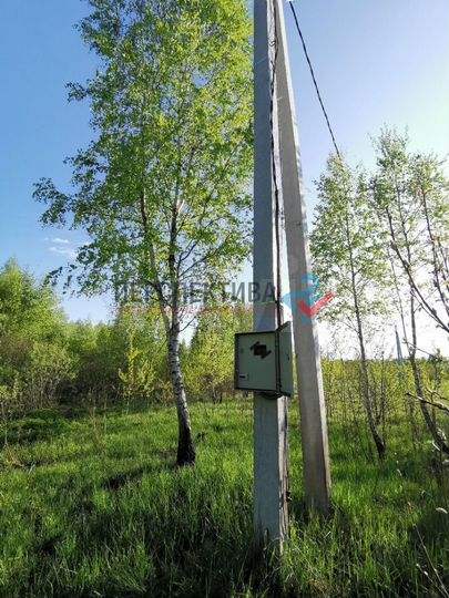 Участок 15 сот. (ИЖС)