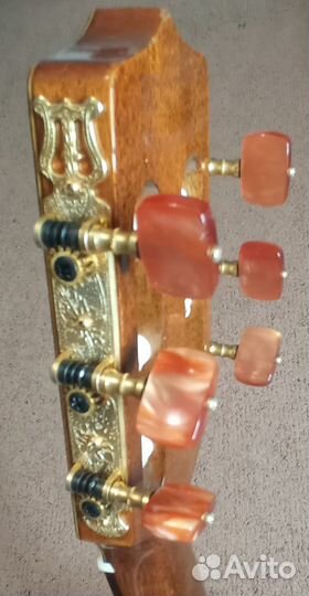 Классическая гитара Takamine TDP 110 bncn