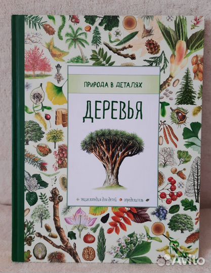 Новые энциклопедии для детей