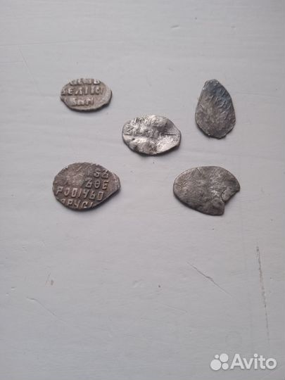 Монеты чешуя