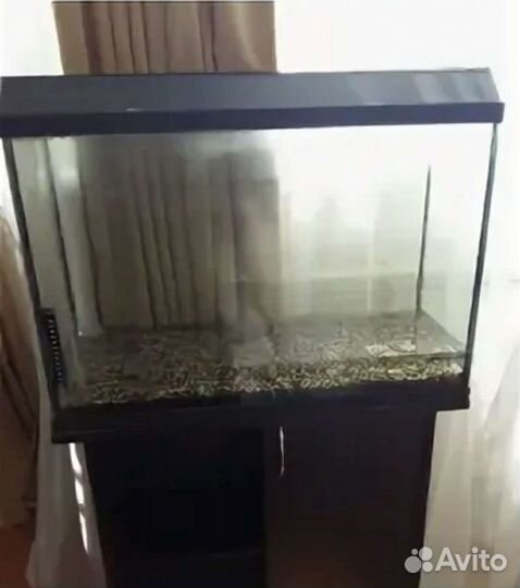 Отдам аквариум сибай. Аквариум даром. Старый аквариум. Аквариум даром тольятти. Заберу аквариум даром.