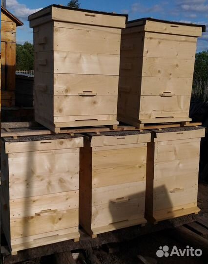 Улья, пчелы, пасека, для пчел