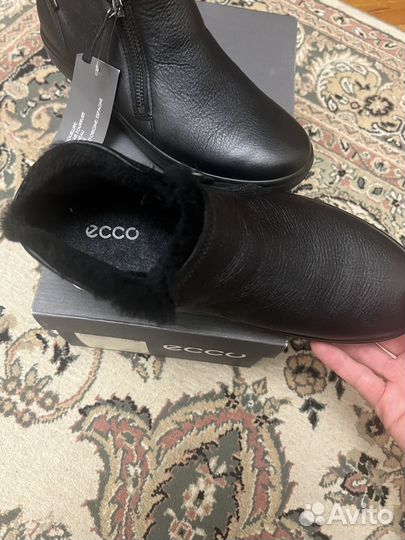 Ecco ботинки новые