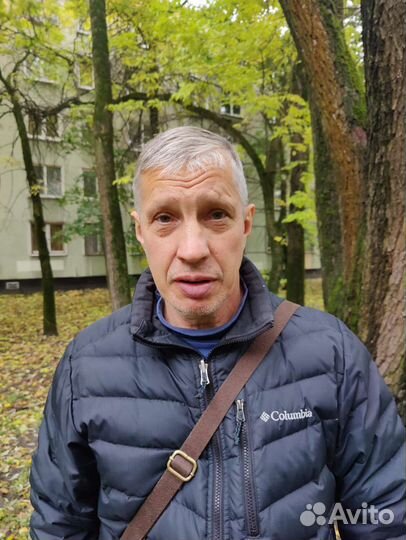 Работа выгул собак