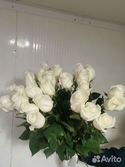 101 роза с доставкой, букет роз с доставкой