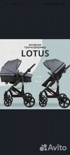 Коляска Indigo Lotus