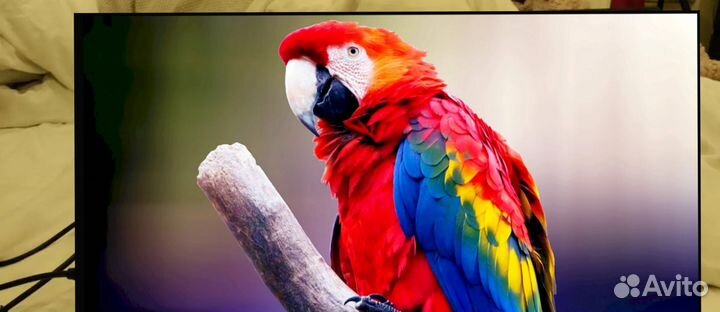 Портативный монитор 120hz