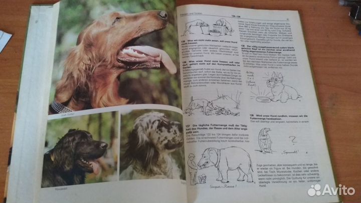 Mein Hund Книга воспитании и уходе за собакой