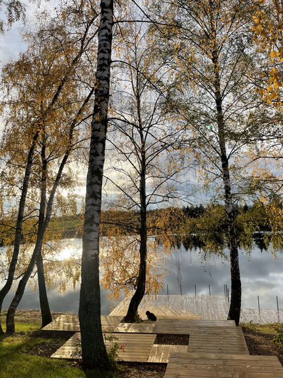 Дом 63 м² на участке 40 сот.