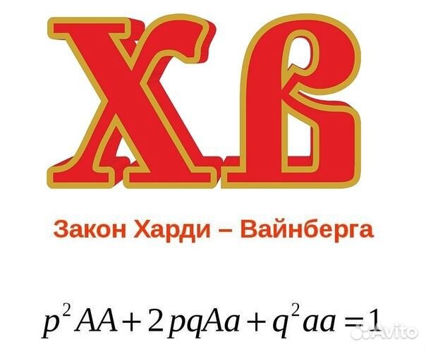 Репетитор по биологии