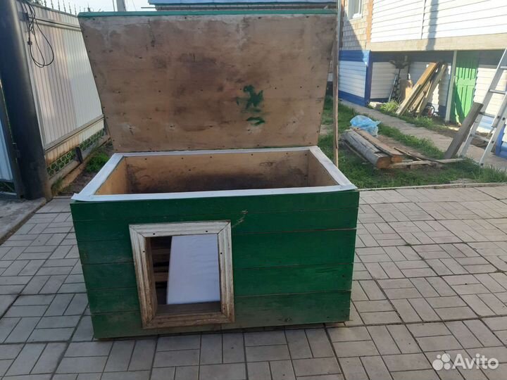 Собачья конура