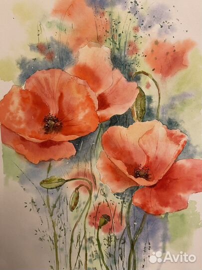 Картины акварелью серия Маки