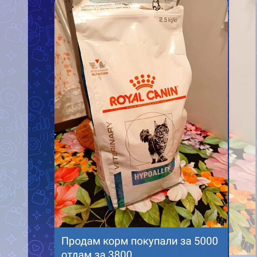 Сухой корм для кошек royal canin