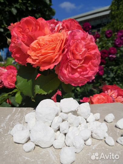 Мел Природный