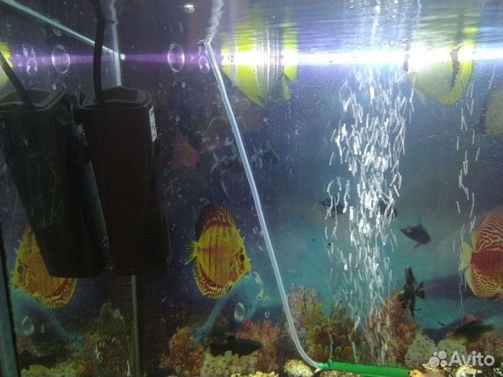 Аквариум с рыбками бу