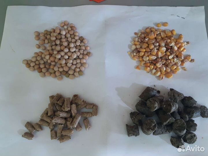 Прикормка для рыбалки