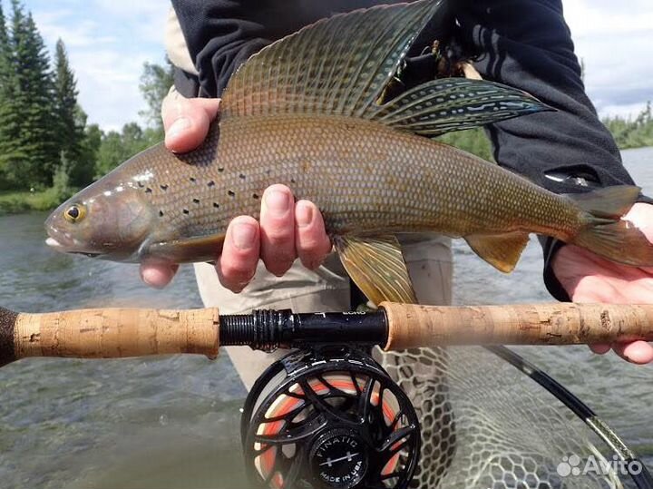 Алтай авто тур экскурсии по Алтаю