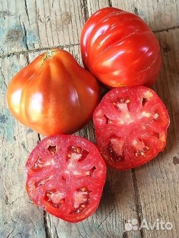 Семена урожайного томата Red Pear