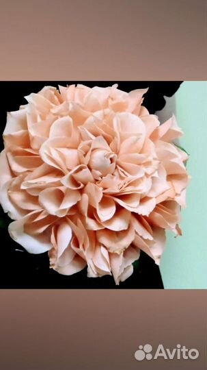 Букет невесты