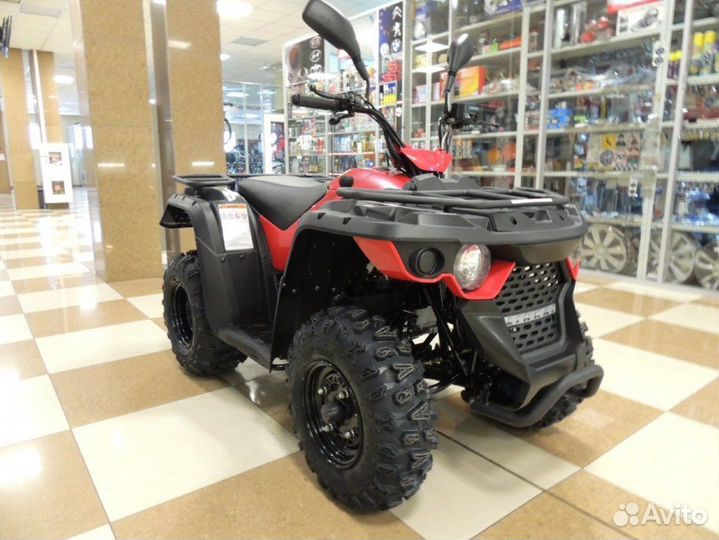 Квадроциклы (маломощные) от 50 до 199 кубов