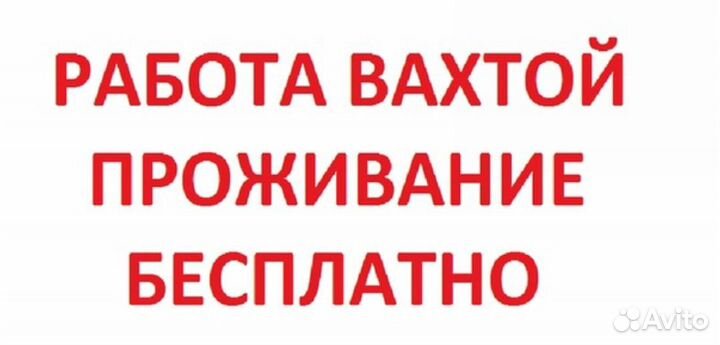 Зуборезчик, вахта, мск. обл