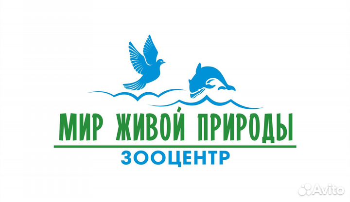 Требуется Уборщица (уборщик)