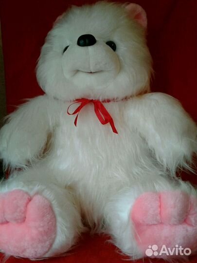 Новый большой медведь