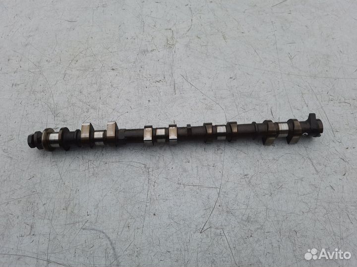 Распредвал впускной Ford Focus 2