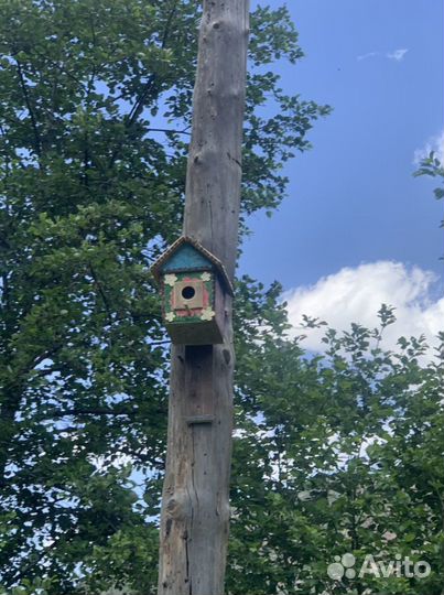 Экскурсия.Тур по Дагестану