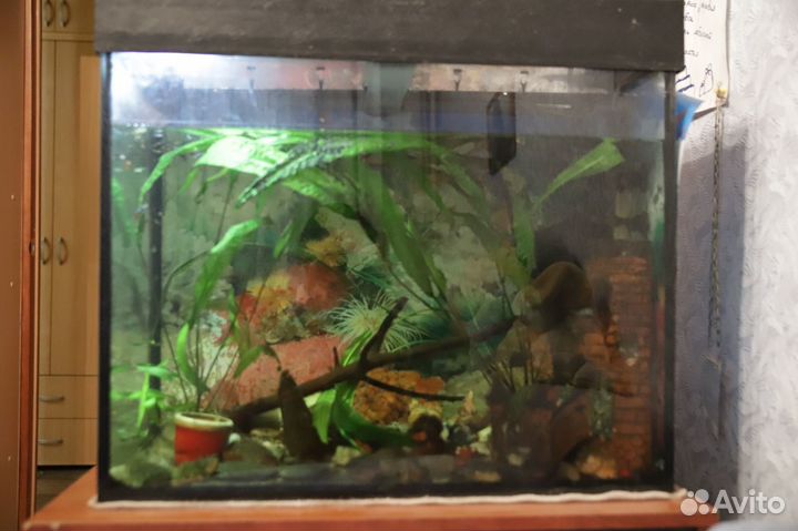Аквариум 100 л под ключ с тумбой