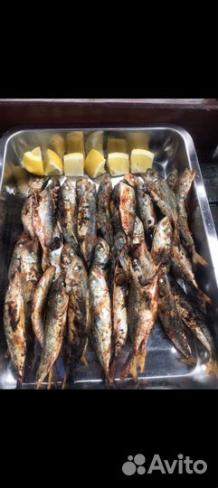 Морская рыбалка Адлер/Кудепста/ Сочи/Сириус